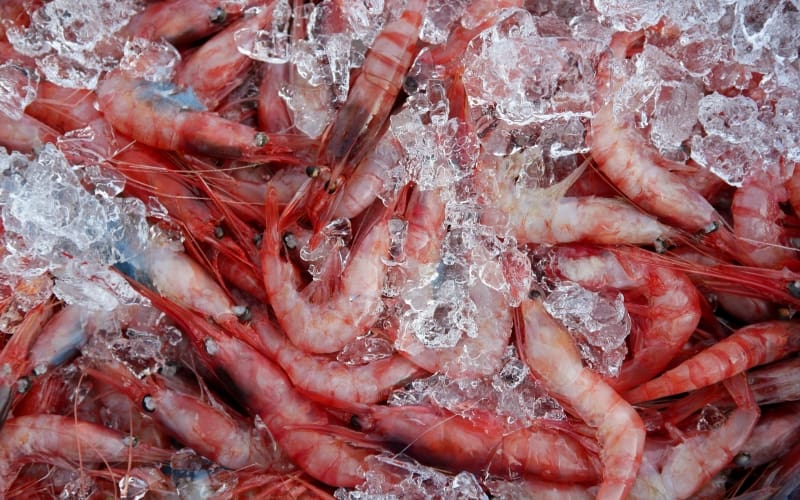 Problemas digestivos: 11 alimentos que los provocan