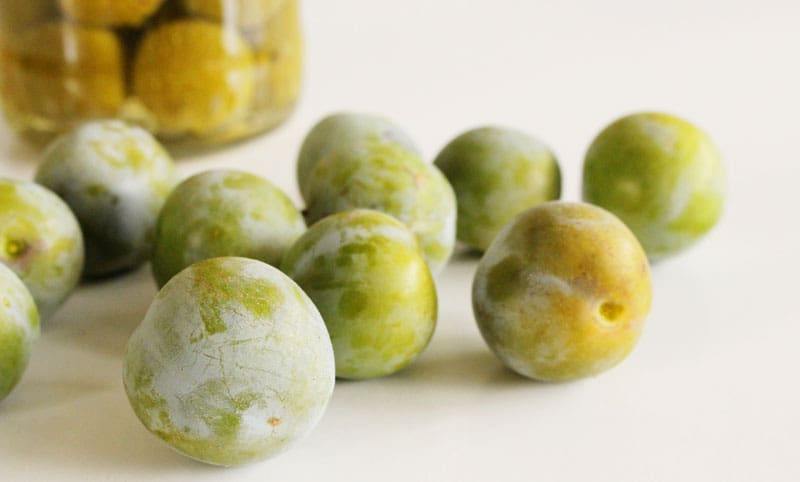 ciruelas claudia